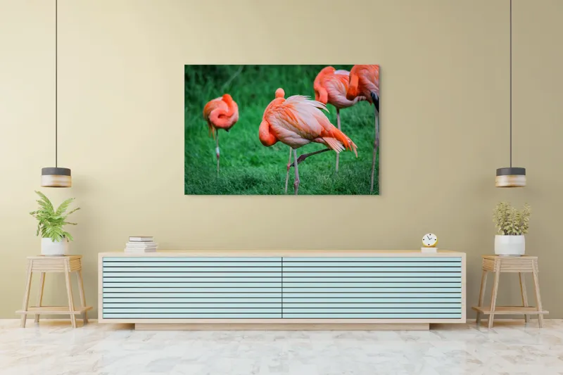 Tablou Canvas, "Flamingo roz în ținută de seară", Flamingo, Roz, Pene, Picioare, Verde, Odihnă, Grădină, Nisip, Grup, Natură, 150 x 100 cm – poza 6