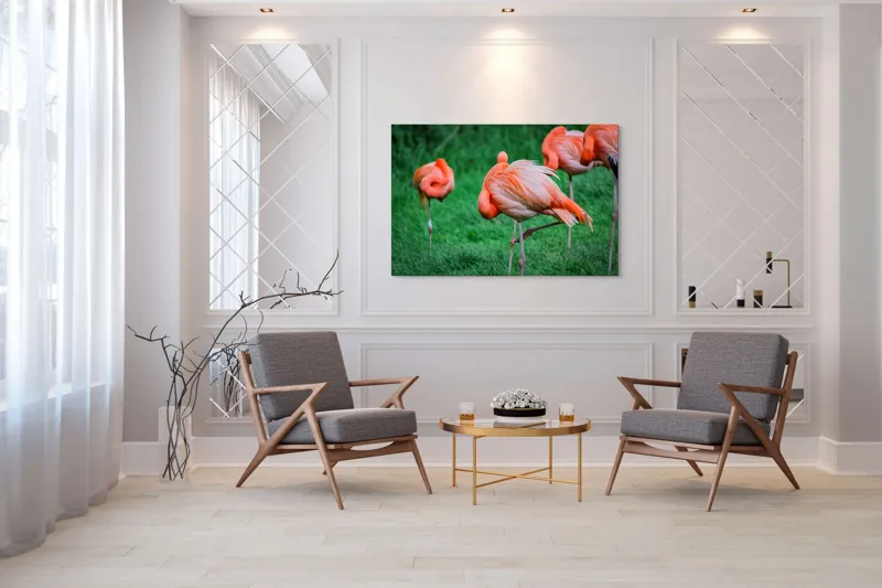 Tablou Canvas, "Flamingo roz în ținută de seară", Flamingo, Roz, Pene, Picioare, Verde, Odihnă, Grădină, Nisip, Grup, Natură, 150 x 100 cm – poza 7