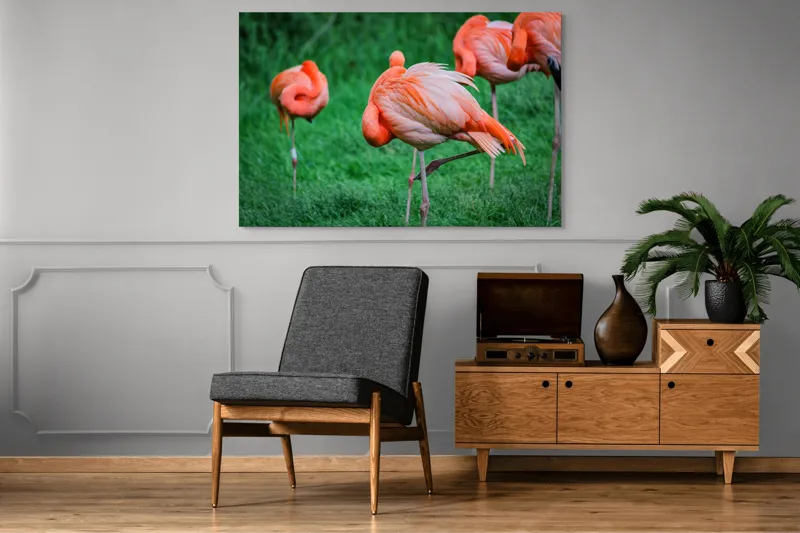 Tablou Canvas, "Flamingo roz în ținută de seară", Flamingo, Roz, Pene, Picioare, Verde, Odihnă, Grădină, Nisip, Grup, Natură, 150 x 100 cm – poza 8