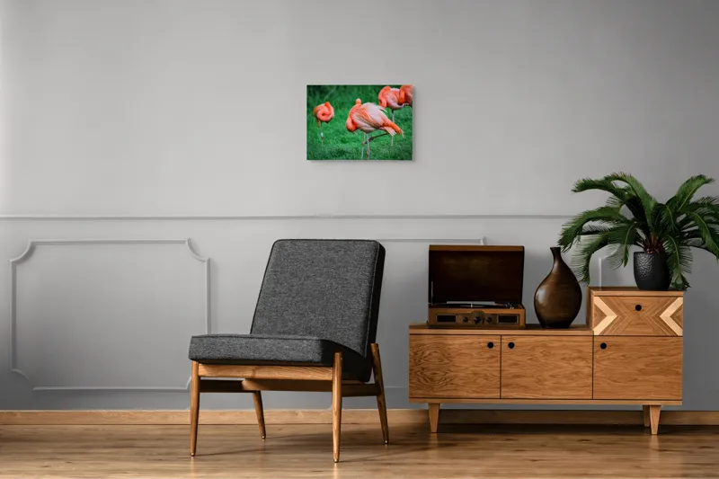 Tablou Canvas, "Flamingo roz în ținută de seară", Flamingo, Roz, Pene, Picioare, Verde, Odihnă, Grădină, Nisip, Grup, Natură, 54 x 39 cm – poza 7
