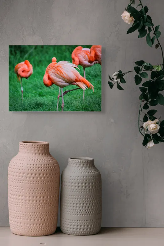 Tablou Canvas, "Flamingo roz în ținută de seară", Flamingo, Roz, Pene, Picioare, Verde, Odihnă, Grădină, Nisip, Grup, Natură, 54 x 39 cm – poza 8