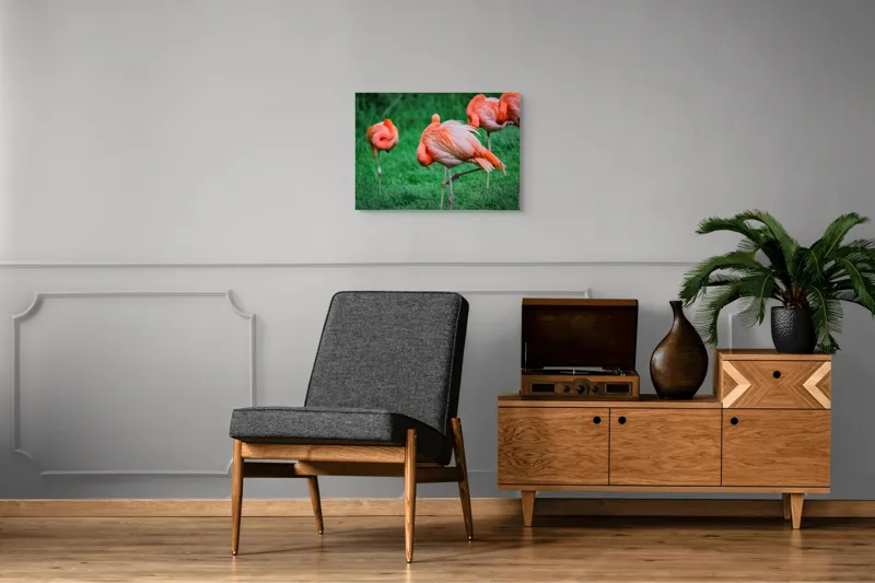 Tablou Canvas, "Flamingo roz în ținută de seară", Flamingo, Roz, Pene, Picioare, Verde, Odihnă, Grădină, Nisip, Grup, Natură, 70 x 50 cm – poza 4