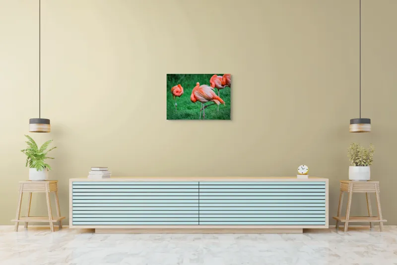 Tablou Canvas, "Flamingo roz în ținută de seară", Flamingo, Roz, Pene, Picioare, Verde, Odihnă, Grădină, Nisip, Grup, Natură, 70 x 50 cm – poza 7