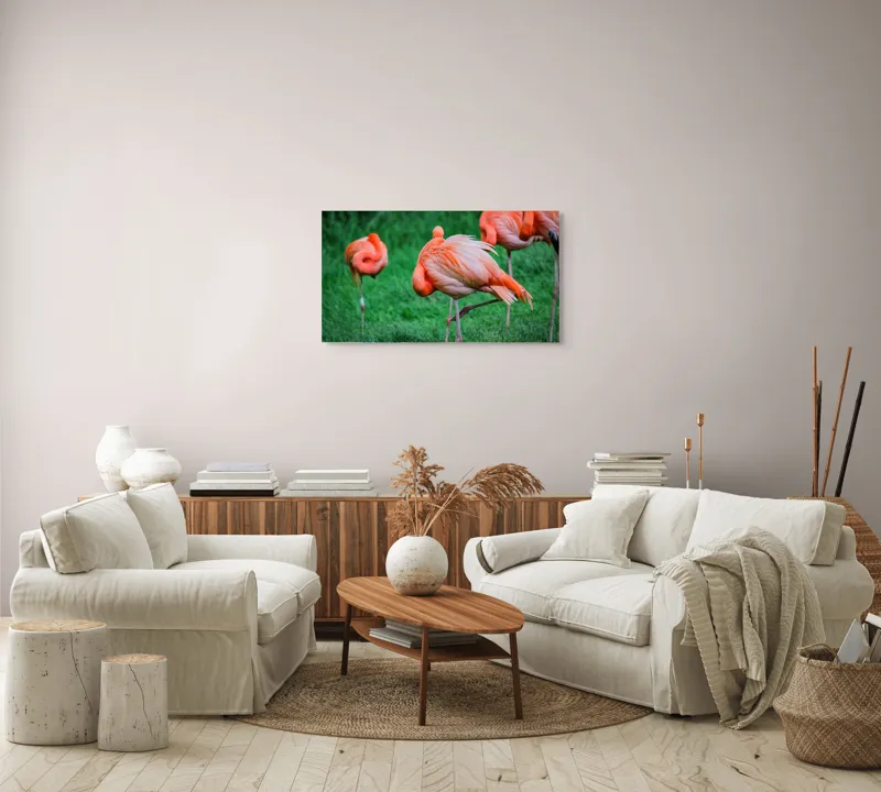 Tablou Canvas, "Flamingo roz în ținută de seară", Flamingo, Roz, Pene, Picioare, Verde, Odihnă, Grădină, Nisip, Grup, Natură, 90 x 50 cm – poza 4