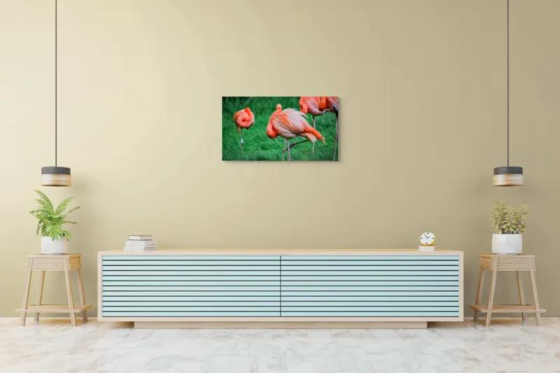 Tablou Canvas, "Flamingo roz în ținută de seară", Flamingo, Roz, Pene, Picioare, Verde, Odihnă, Grădină, Nisip, Grup, Natură, 90 x 50 cm – poza 5