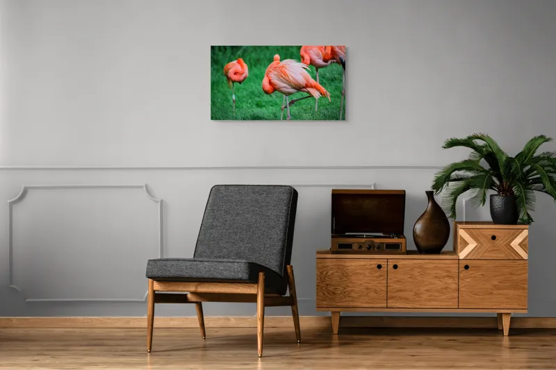 Tablou Canvas, "Flamingo roz în ținută de seară", Flamingo, Roz, Pene, Picioare, Verde, Odihnă, Grădină, Nisip, Grup, Natură, 90 x 50 cm – poza 6