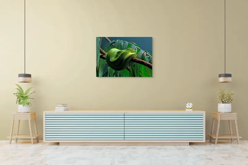 Tablou Canvas, "Șarpe verde odihnindu-se pe creangă", Șarpe, Verde, Crengi, Frunze, Savană, Mister, Reptilă, Camuflaj, 100 x 70 cm – poza 4