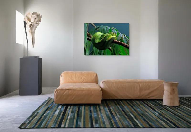 Tablou Canvas, "Șarpe verde odihnindu-se pe creangă", Șarpe, Verde, Crengi, Frunze, Savană, Mister, Reptilă, Camuflaj, 100 x 70 cm – poza 7