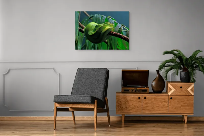 Tablou Canvas, "Șarpe verde odihnindu-se pe creangă", Șarpe, Verde, Crengi, Frunze, Savană, Mister, Reptilă, Camuflaj, 100 x 70 cm – poza 8