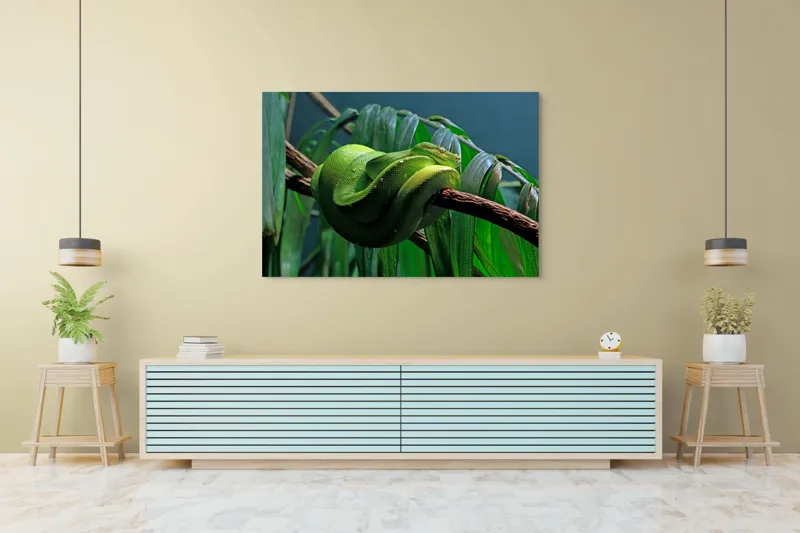 Tablou Canvas, "Șarpe verde odihnindu-se pe creangă", Șarpe, Verde, Crengi, Frunze, Savană, Mister, Reptilă, Camuflaj, 150 x 100 cm – poza 6