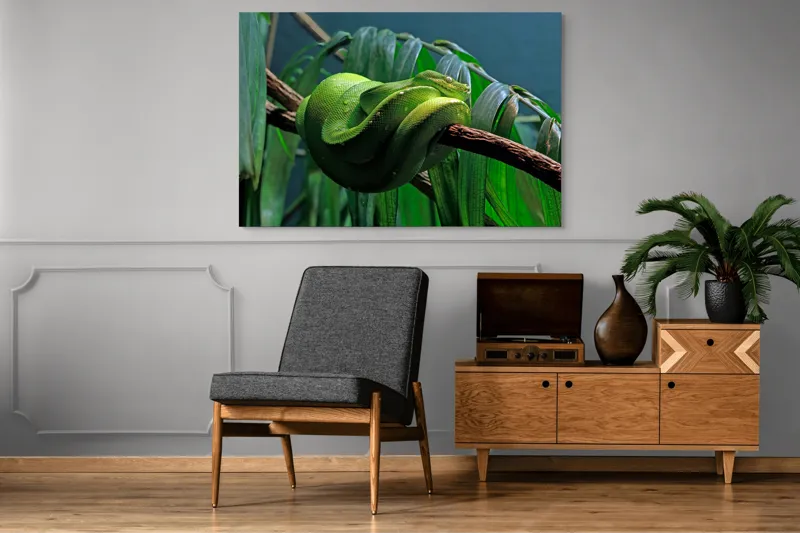 Tablou Canvas, "Șarpe verde odihnindu-se pe creangă", Șarpe, Verde, Crengi, Frunze, Savană, Mister, Reptilă, Camuflaj, 150 x 100 cm – poza 8