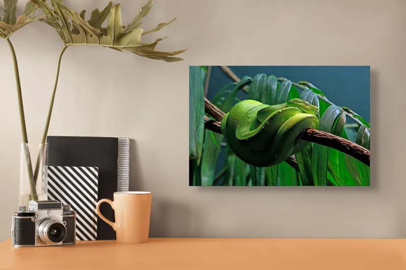 Tablou Canvas, "Șarpe verde odihnindu-se pe creangă", Șarpe, Verde, Crengi, Frunze, Savană, Mister, Reptilă, Camuflaj, 39 x 26 cm – poza 3