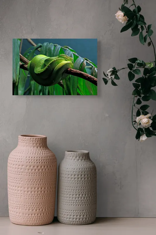 Tablou Canvas, "Șarpe verde odihnindu-se pe creangă", Șarpe, Verde, Crengi, Frunze, Savană, Mister, Reptilă, Camuflaj, 39 x 26 cm – poza 4