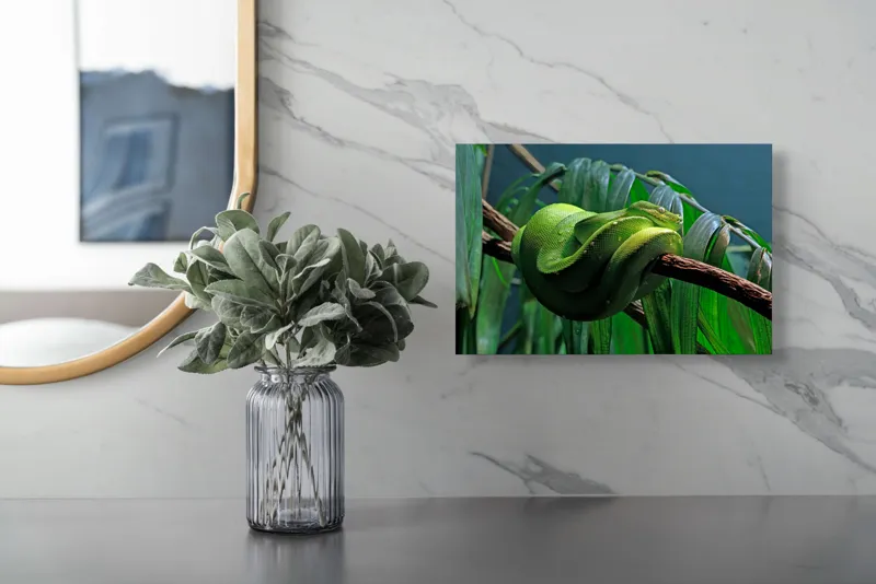 Tablou Canvas, "Șarpe verde odihnindu-se pe creangă", Șarpe, Verde, Crengi, Frunze, Savană, Mister, Reptilă, Camuflaj, 39 x 26 cm – poza 5