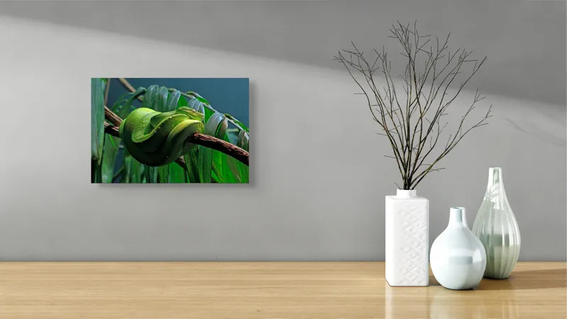 Tablou Canvas, "Șarpe verde odihnindu-se pe creangă", Șarpe, Verde, Crengi, Frunze, Savană, Mister, Reptilă, Camuflaj, 39 x 26 cm – poza 8