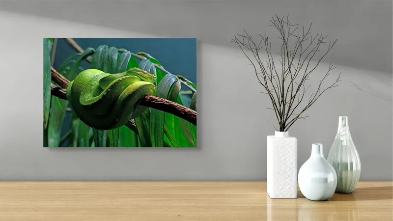 Tablou Canvas, "Șarpe verde odihnindu-se pe creangă", Șarpe, Verde, Crengi, Frunze, Savană, Mister, Reptilă, Camuflaj, 54 x 39 cm – poza 3