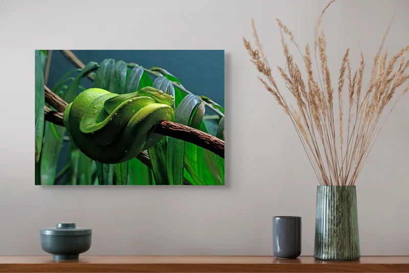 Tablou Canvas, "Șarpe verde odihnindu-se pe creangă", Șarpe, Verde, Crengi, Frunze, Savană, Mister, Reptilă, Camuflaj, 54 x 39 cm – poza 4
