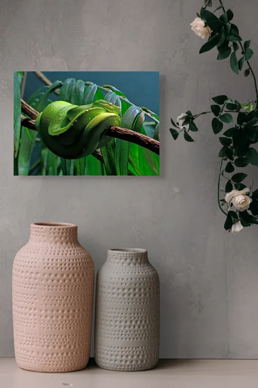 Tablou Canvas, "Șarpe verde odihnindu-se pe creangă", Șarpe, Verde, Crengi, Frunze, Savană, Mister, Reptilă, Camuflaj, 54 x 39 cm – poza 8