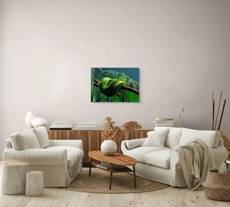 Tablou Canvas, "Șarpe verde odihnindu-se pe creangă", Șarpe, Verde, Crengi, Frunze, Savană, Mister, Reptilă, Camuflaj, 70 x 50 cm – poza 6