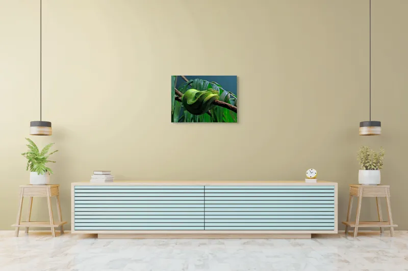 Tablou Canvas, "Șarpe verde odihnindu-se pe creangă", Șarpe, Verde, Crengi, Frunze, Savană, Mister, Reptilă, Camuflaj, 70 x 50 cm – poza 7