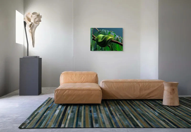 Tablou Canvas, "Șarpe verde odihnindu-se pe creangă", Șarpe, Verde, Crengi, Frunze, Savană, Mister, Reptilă, Camuflaj, 70 x 50 cm – poza 8