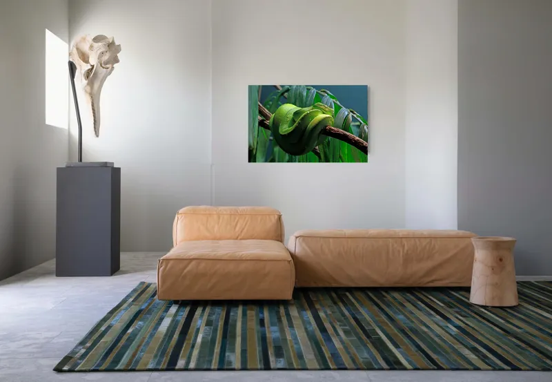 Tablou Canvas, "Șarpe verde odihnindu-se pe creangă", Șarpe, Verde, Crengi, Frunze, Savană, Mister, Reptilă, Camuflaj, 90 x 50 cm – poza 8