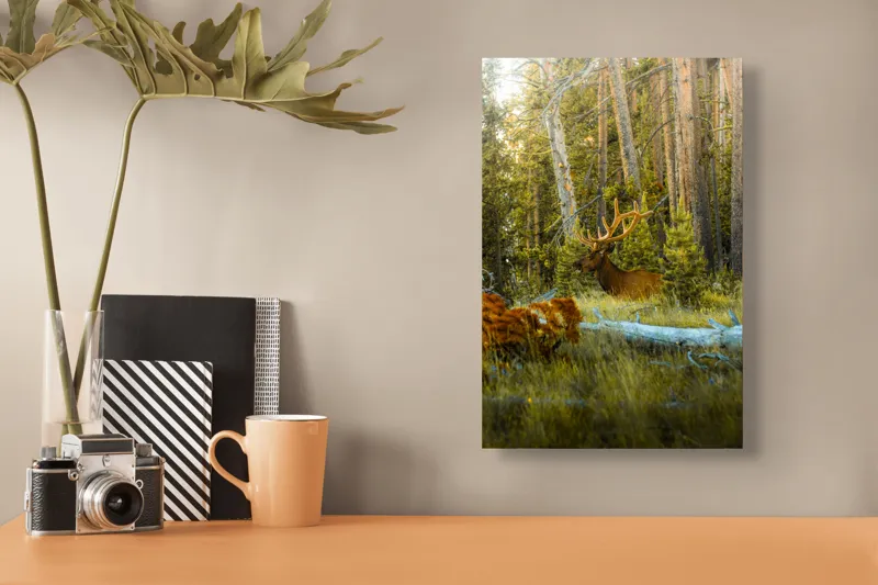 Tablou Canvas, "Elan pe Fundal de Pădure Bătrână", Pădure, Cerb, Coarne, Lumină, Copaci, Vegetație, Natură, Serenitate, 26 x 39 cm – poza 3