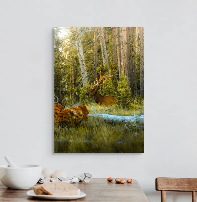 Tablou Canvas, "Elan pe Fundal de Pădure Bătrână", Pădure, Cerb, Coarne, Lumină, Copaci, Vegetație, Natură, Serenitate, 50 x 70 cm – poza 3