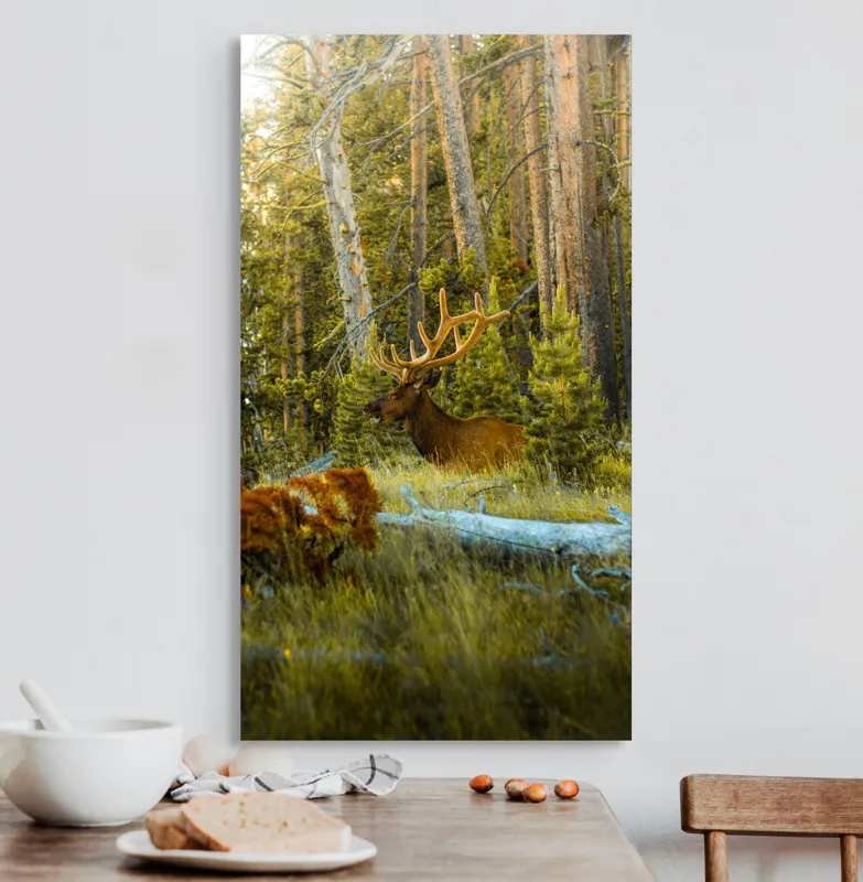 Tablou Canvas, "Elan pe Fundal de Pădure Bătrână", Pădure, Cerb, Coarne, Lumină, Copaci, Vegetație, Natură, Serenitate, 50 x 90 cm – poza 3