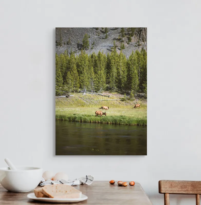 Tablou Canvas, "Cerbi liniștiți lângă râu", Natură, Elk, Pădure, Apă, Iarbă, Munți, Liniște, Verdeață, Frumusețe, Sălbăticie., 50 x 70 cm – poza 3