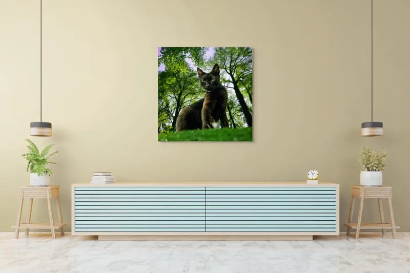 Tablou Canvas, "Pisica în adâncul pădurii verzi", Pisică, Pădure, Verdetă, Privire, Dramatic, Natură, Copaci, Cer, Umbre, Culoare., 100 x 100 cm – poza 5