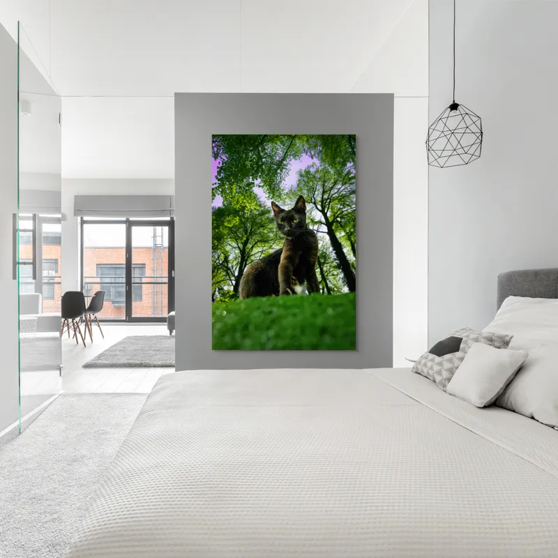 Tablou Canvas, "Pisica în adâncul pădurii verzi", Pisică, Pădure, Verdetă, Privire, Dramatic, Natură, Copaci, Cer, Umbre, Culoare., 100 x 150 cm – poza 5