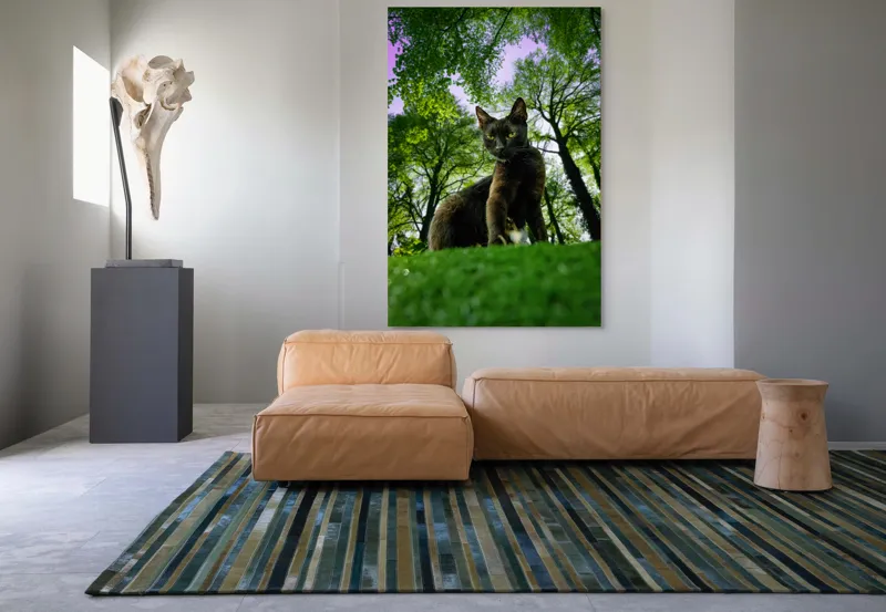 Tablou Canvas, "Pisica în adâncul pădurii verzi", Pisică, Pădure, Verdetă, Privire, Dramatic, Natură, Copaci, Cer, Umbre, Culoare., 100 x 150 cm – poza 7