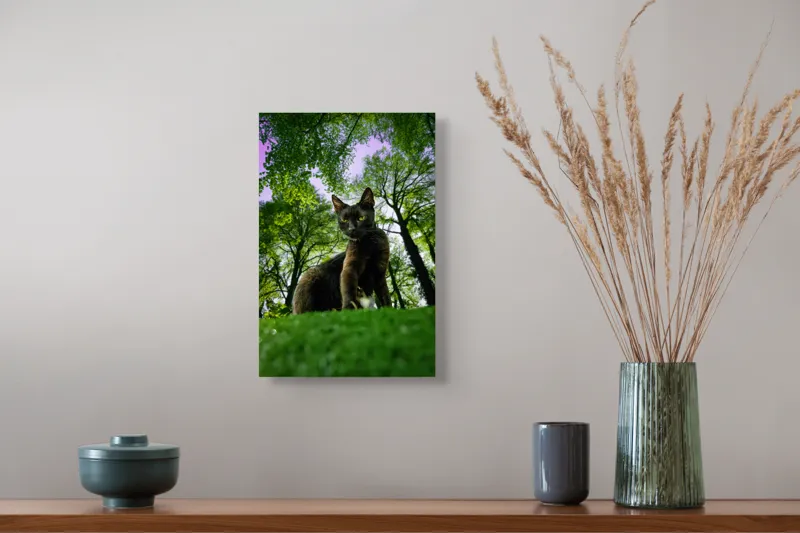 Tablou Canvas, "Pisica în adâncul pădurii verzi", Pisică, Pădure, Verdetă, Privire, Dramatic, Natură, Copaci, Cer, Umbre, Culoare., 26 x 39 cm – poza 5