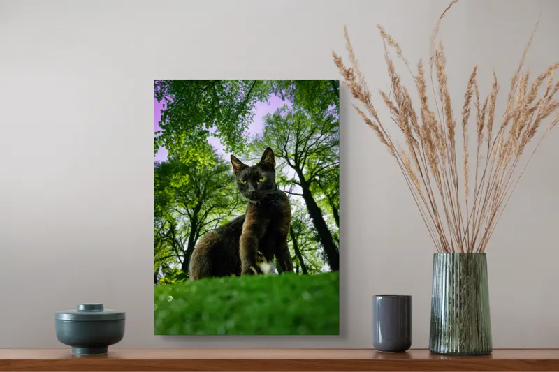 Tablou Canvas, "Pisica în adâncul pădurii verzi", Pisică, Pădure, Verdetă, Privire, Dramatic, Natură, Copaci, Cer, Umbre, Culoare., 39 x 54 cm – poza 3