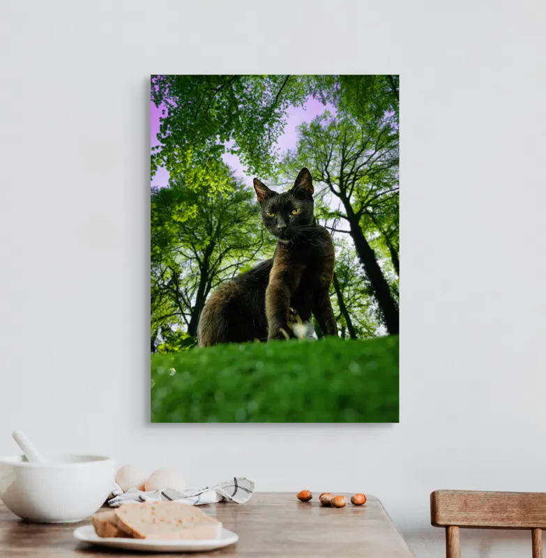 Tablou Canvas, "Pisica în adâncul pădurii verzi", Pisică, Pădure, Verdetă, Privire, Dramatic, Natură, Copaci, Cer, Umbre, Culoare., 50 x 70 cm – poza 3