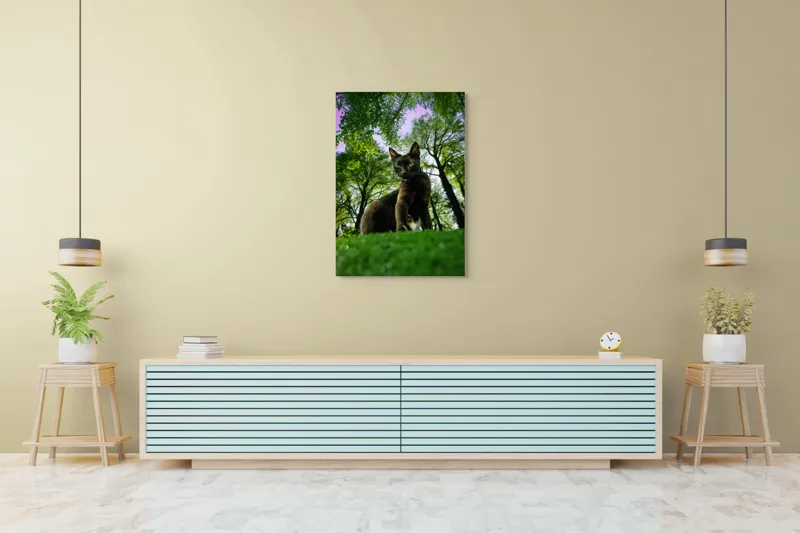 Tablou Canvas, "Pisica în adâncul pădurii verzi", Pisică, Pădure, Verdetă, Privire, Dramatic, Natură, Copaci, Cer, Umbre, Culoare., 70 x 100 cm – poza 5