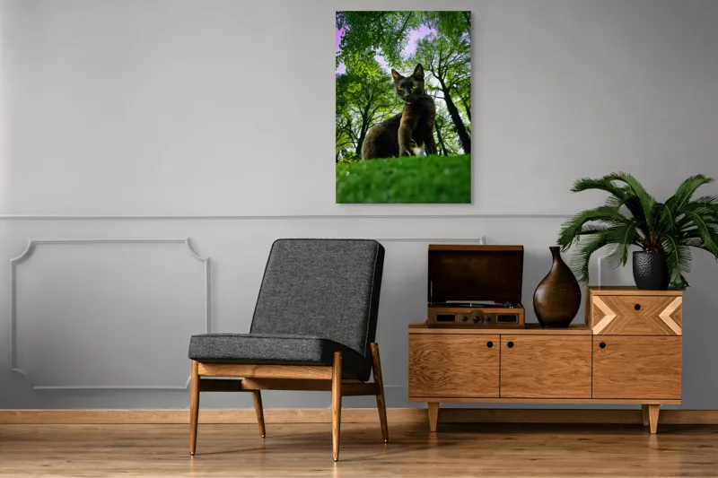 Tablou Canvas, "Pisica în adâncul pădurii verzi", Pisică, Pădure, Verdetă, Privire, Dramatic, Natură, Copaci, Cer, Umbre, Culoare., 70 x 100 cm – poza 6