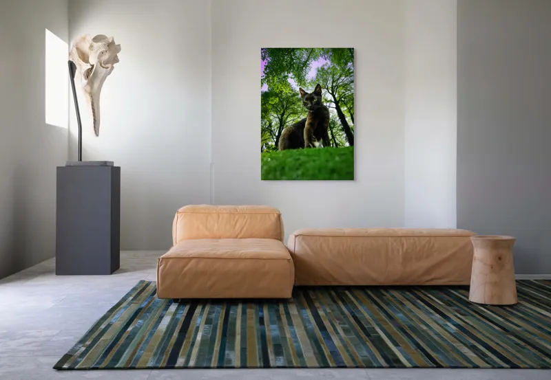 Tablou Canvas, "Pisica în adâncul pădurii verzi", Pisică, Pădure, Verdetă, Privire, Dramatic, Natură, Copaci, Cer, Umbre, Culoare., 70 x 100 cm – poza 7