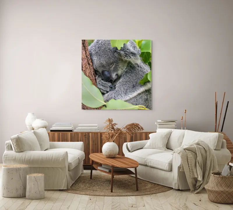 Tablou Canvas, "Koala într-un somn adânc și dulce", Koala, Somnoros, Blănos, Frunze, Copac, Odihnă, Natural, Calm, Verde, Tihnă, 100 x 100 cm – poza 3