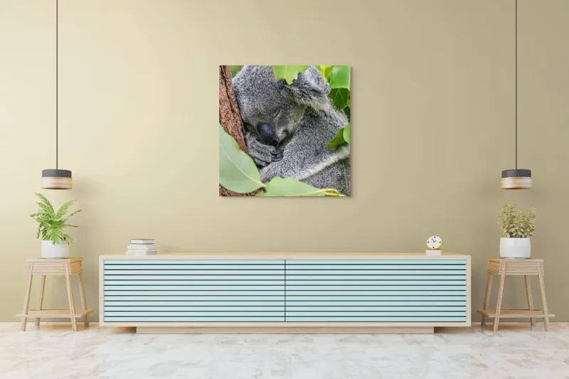 Tablou Canvas, "Koala într-un somn adânc și dulce", Koala, Somnoros, Blănos, Frunze, Copac, Odihnă, Natural, Calm, Verde, Tihnă, 100 x 100 cm – poza 5