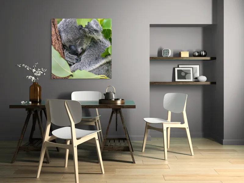 Tablou Canvas, "Koala într-un somn adânc și dulce", Koala, Somnoros, Blănos, Frunze, Copac, Odihnă, Natural, Calm, Verde, Tihnă, 100 x 100 cm – poza 6