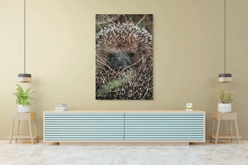 Tablou Canvas, "Ariciul ascuns printre fire de iarbă", Nu pot să spun sigur ce este în imagine, dar pare a fi un animal cu blană aspră., 100 x 150 cm – poza 4