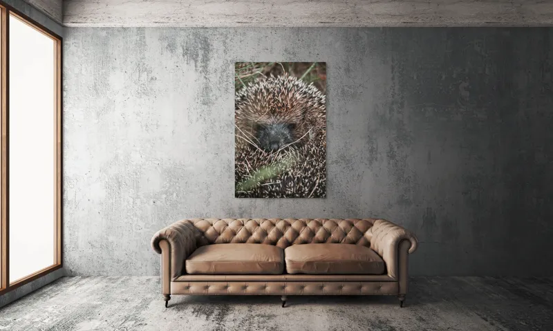 Tablou Canvas, "Ariciul ascuns printre fire de iarbă", Nu pot să spun sigur ce este în imagine, dar pare a fi un animal cu blană aspră., 100 x 150 cm – poza 6