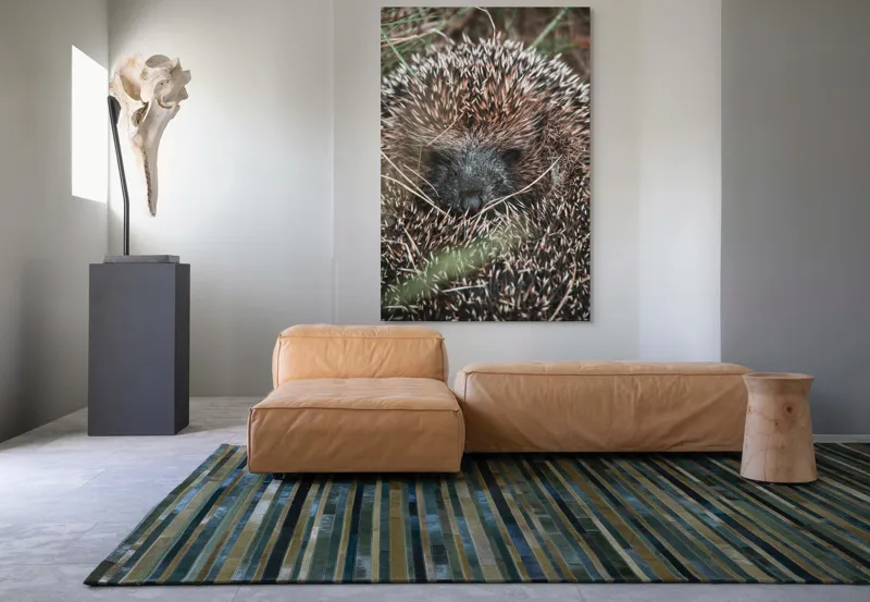 Tablou Canvas, "Ariciul ascuns printre fire de iarbă", Nu pot să spun sigur ce este în imagine, dar pare a fi un animal cu blană aspră., 100 x 150 cm – poza 7