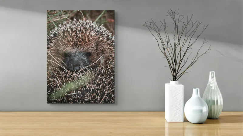 Tablou Canvas, "Ariciul ascuns printre fire de iarbă", Nu pot să spun sigur ce este în imagine, dar pare a fi un animal cu blană aspră., 39 x 54 cm – poza 4
