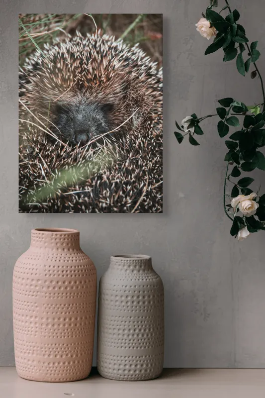 Tablou Canvas, "Ariciul ascuns printre fire de iarbă", Nu pot să spun sigur ce este în imagine, dar pare a fi un animal cu blană aspră., 39 x 54 cm – poza 6