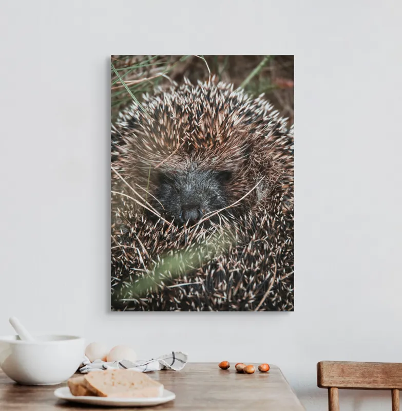 Tablou Canvas, "Ariciul ascuns printre fire de iarbă", Nu pot să spun sigur ce este în imagine, dar pare a fi un animal cu blană aspră., 50 x 70 cm – poza 3