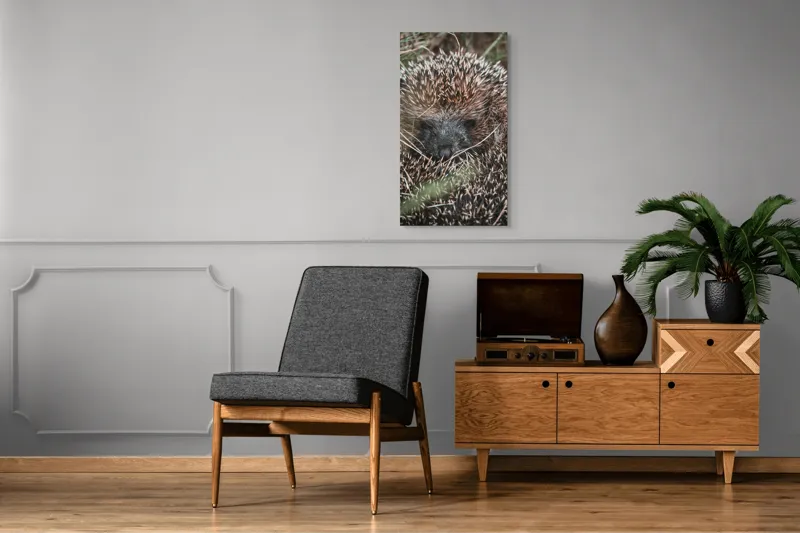 Tablou Canvas, "Ariciul ascuns printre fire de iarbă", 50 x 90 cm – poza 8