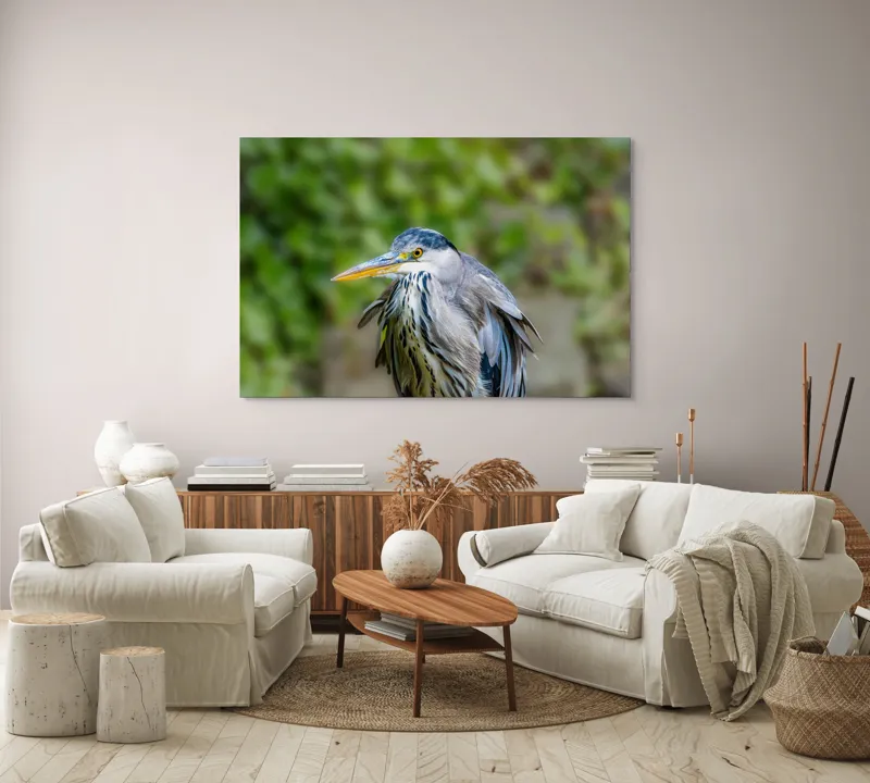 Tablou Canvas, "Aripa albastră în zbor verde", Pasăre, Penaj, Albastru, Cioc, Natură, Ochi, Verde, Detaliu, Elegant, Observație, 150 x 100 cm – poza 3